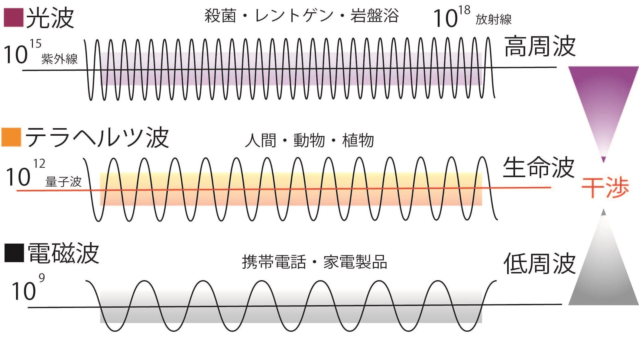 量子波発信機 味わい深 テラチップ 電磁波対策